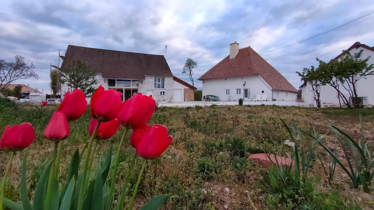 Domaine Ravy-Magnolia Lägenhet Saint-Symphorien-sur-Saone Exteriör bild